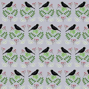 Blackbirds: Singing blackbirds with berries and flowers