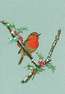 Matthes: Singing Robin on a holly branch