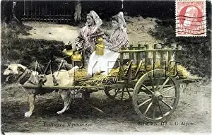Milkmaids: SINGLE DOG AND MILK CART