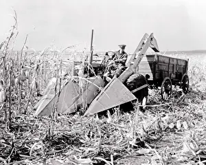 Laboring: Single Man Farmer Driving a Tractor and Corn Harvester
