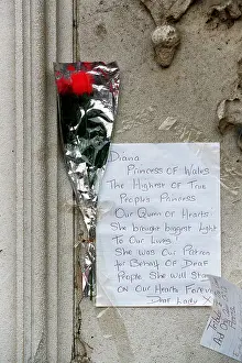 Single Rose For Diana