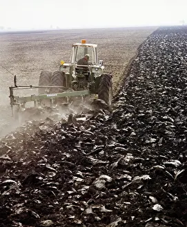 Laboring: Single Silhouetted Anonymous Man Farmer Plowing