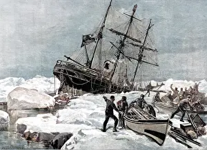 Endured: The Sinking of the Eira, Cape Flora 1881