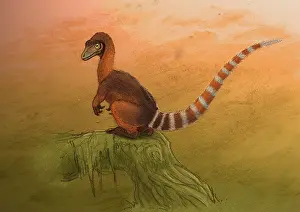 Alertness: A Sinosauropteryx dinosaur resting on a log