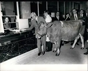 Barclays: Sir Alan Herbert cashes cheque written on a cow