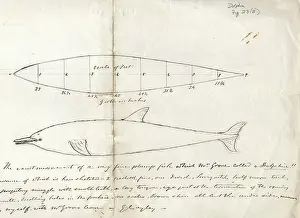 Hmso: Sir George Cayley's drawings