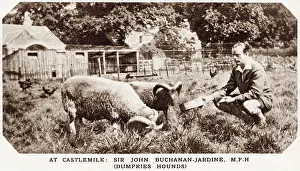 Sep25: Sir John Buchanan-Jardine feeding Shetland rams