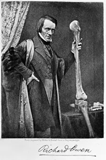1804 1892: Sir Richard Owen (1804-1892)