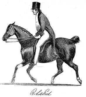 Peelers: Sir Robert Peel on horseback