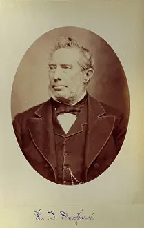 Theophilus: Sir Theophilus Shepstone, 1817- 1893