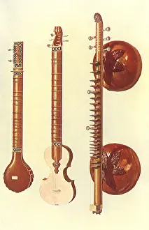 Gibb: Sitar and VEgna