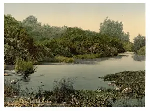 Kadi: Site of Dan and source of the Jordan, Tel-el-Kadi, Holy Land