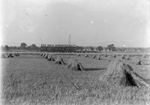 Site of Penhill Park Estate