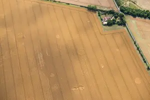 Ditches: Site of probable barrow cemetery