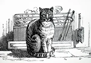 1823: At sitting on the hearth-rug