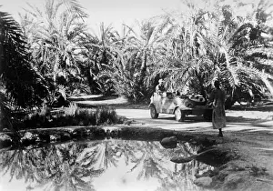 Siwa: The Siwa Oasis during the Second World War, 1942