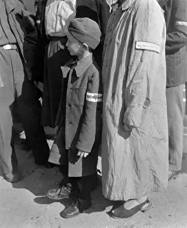 Lcgr1403: Six-year-old war orphan with a Buchenwald concentration