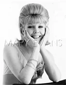 Combed: SIXTIES MODEL