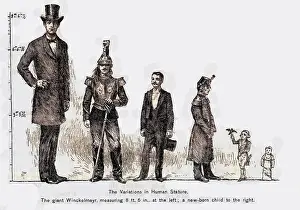Variations: SIZE OF PEOPLE/ANATOMY