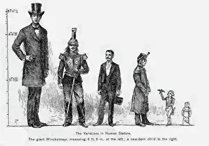 Comparing: SIZE OF PEOPLE/ANATOMY