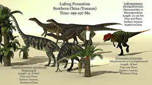 Archaeologist: Size reference chart of early dinosaurs from the