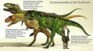 Archaeologist: Size reference chart of Tyrannosaurids from Southwest