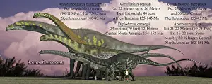 Archaeologist: Size reference chart of various sauropods from