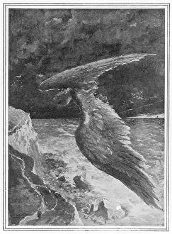 Birdmen: Size of Wings Needed