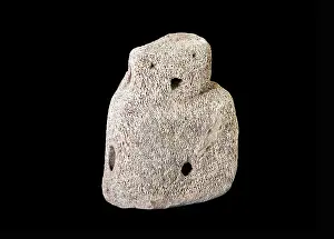 Navel: Skara Brae Buddo, Stromness Museum, Stromness, Mainland