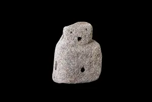 Navel: Skara Brae Buddo, Stromness Museum, Stromness, Mainland