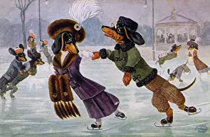 Dachshunds: SKATING DACHSHUNDS