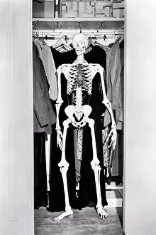 Spook: A Skeleton in the Closet Family