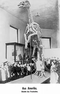 Dino: Skeleton of a duck-billed dinosaur, 1931