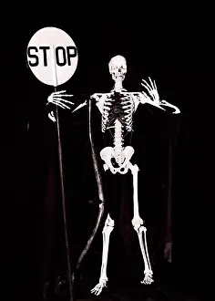 Outrageous: Skeleton Looking at Camera Holding a Warning Stop