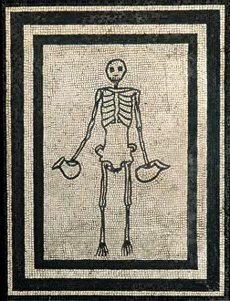 Memento: Skeleton Mosaic