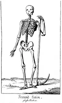Hein: Skeleton with Scythe