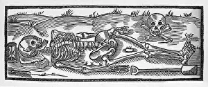 Crossbones: SKELETON AND SKULL