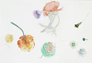 Odilon: Sketch of flowers