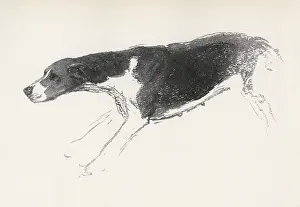 Eager: Sketch of a hound in action