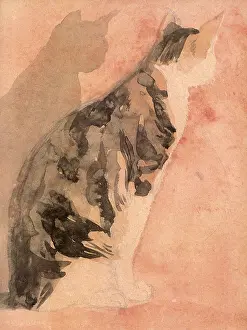 Gwen: Sketch of a Seated Cat