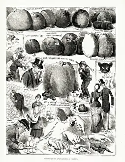 Chiswick: Sketches at the Apple Congress at Chiswick
