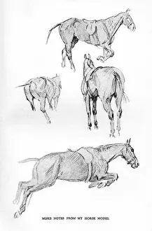 Autobiography: Sketches by Cecil Aldin, Time I Was Dead