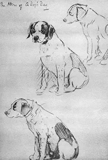 Autobiography: Sketches by Cecil Aldin, Time I Was Dead