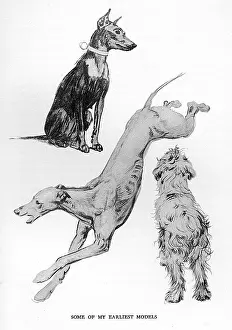 Whippet: Sketches by Cecil Aldin, Time I Was Dead