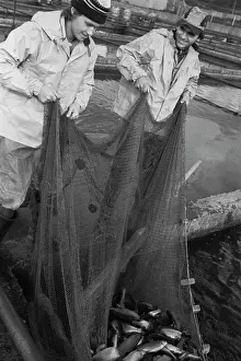 Sokolov: Skhodnya Trout Farm