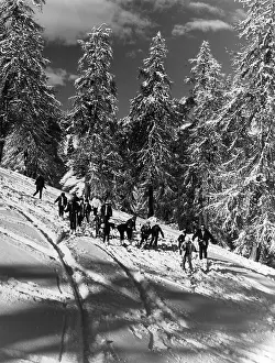 Ad Lib Studios: SKIING LESSON