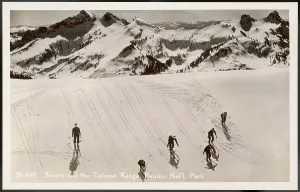 Ranier: SkIIng - Tatoosh - Photo