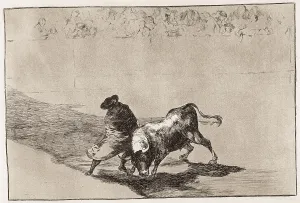 Skilful: The very skilful student of Falces wrapped in his cape, tr