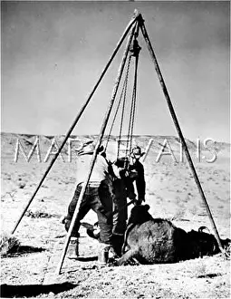 Skinning: SKINNING