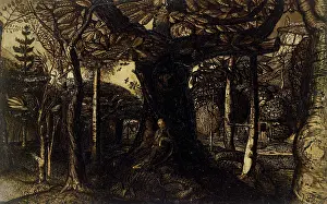 Varnished: The Skirts of a Wood